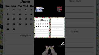 2025 Cat CalendarPlanner [upl. by Anerom760]