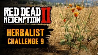 Red Dead Redemption 2 Herbalist Challenge 9 Guide  Pick one of each species of herb [upl. by Gerhardine26]