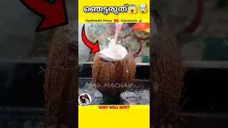 hydraulic press vs coconuts🥥😱 shorts viralshorts youtubeshorts trending [upl. by Kolodgie]