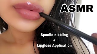 ASMR Intense Spoolie Nibbling  Lipgloss Application amp Wet Mouth Sounds [upl. by Annairol]