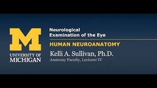 Nervous System Neurological Examination of the Eye [upl. by Selig992]