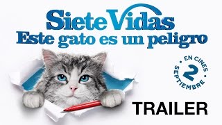 SIETE VIDAS ESTE GATO ES UN PELIGRO  Tráiler oficial HD [upl. by Aihseit]