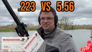 223 Vs 556  Is There A Practical Difference  Ballistics Test guns science rangeday [upl. by Ruben]