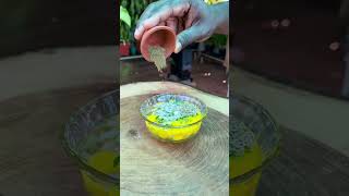 காடை முட்டைல கரண்டி ஆம்லேட்டா   Rocket Stove Cooking [upl. by Yedok]