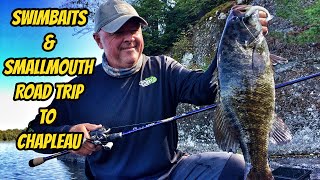 SWIM BAITS amp SMALLMOUTH ROAD TRIP TO CHAPLEAU  New Season Teaser [upl. by Cesya]