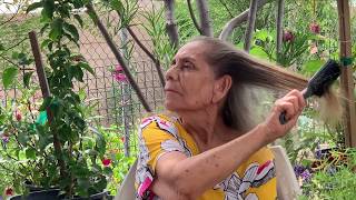 Shampoo hecho en casa Que oscurece las canas y evita la caída del cabello [upl. by Cirenoj]