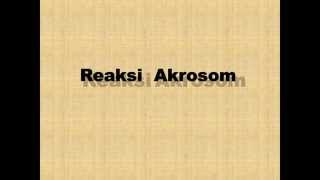 Reaksi Akrosom by Klinik Andrologi dr Anton Darsono Wongso SpAnd [upl. by Attoynek]