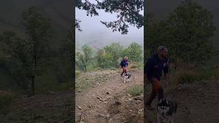 Balade avec ma Husky 🐺 au Puig de Llivia 📹 [upl. by Jamnis]