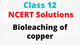 11 Bioleaching of copper [upl. by Oivat]