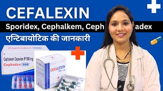 Cephalexin Capsule किस काम आता है  Sporidex Cephadex Cephaxin Cephalkem  Antibiotic [upl. by Aieken321]