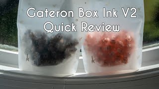 Clacky Gateron Box Ink V2 Quick Review amp Sound Tests [upl. by Goodman]