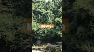 Meghalaya waterfalls India shortvideo [upl. by Ytnom]