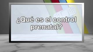 ¿Qué es el control prenatal [upl. by Heidie930]