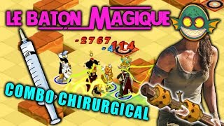 COMBO CHIRURGICAL ► FÉCA ÉNU amp PANDA Dofus [upl. by Seana]