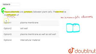 Plasmodesmata are junctions between plant cells These involve modification of [upl. by Budding513]