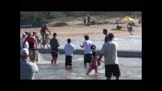 Sani2c 2013 best bridge crashes [upl. by Lyudmila]