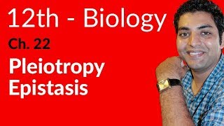 FSc Biology Book 2 Pleiotropy Epistasis  Ch 22 Variation and Genetics  12th Class Biology [upl. by Ahsieat]