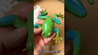 🤯पापा ने जादुई मेंढक🐸को Dinosaur बना दिया😱मेंढक को कीचड में डुबाया🤪 funny shortvideo shorts [upl. by Rickert]