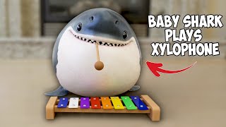 Cute Baby Shark Plays quotBaby Sharkquot On The Xylophone [upl. by Yvaht27]