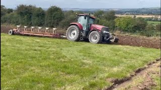 day 30 ploughing cattle and push for 1000 [upl. by Uba17]