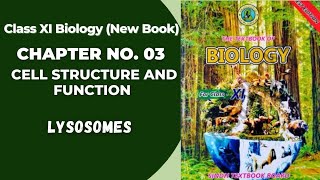 Ch 3 Cell Structure and function  Lysosomes  Class 11 biology new book  Sindh board [upl. by Arvie]