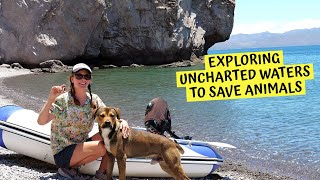 Vet Expedition Boat Off Grid amp Remote  Chuffed Adventures S5Ep26 [upl. by Dib]