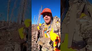 Horse Packing in the mountains of Colorado Rifle Hunt [upl. by Olenolin]