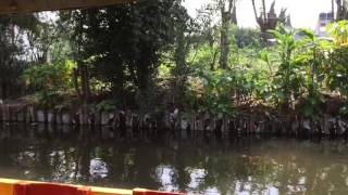 Chinampas of Lake Texcoco Mexico Today Canals of Xochimilco [upl. by Thgirw]