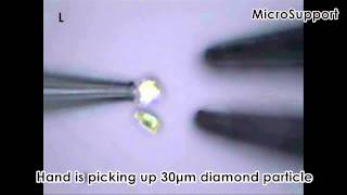 Video Showing Basic Functions of Micro Support Micromanipulators [upl. by Akerdal]