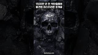 1500만 년 전 석탄에서 발견된 인간 두개골 [upl. by Jere20]