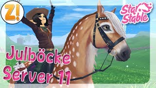 Julbocksuche auf Server 11  Star Stable SSO [upl. by Yarled727]