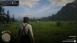 RDR2  Finishing Horseman 10 for Legend of the East Outfit [upl. by Elaen995]