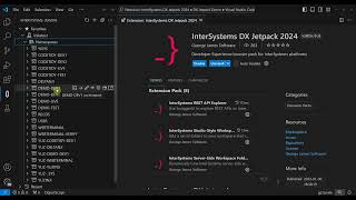 Whats new in InterSystems DX Jetpack 2024 edition for VS Code [upl. by Sokram]