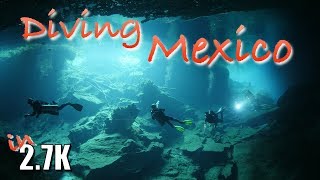 Diving Mexico Cenotes Halocline amp Whale Sharks included [upl. by Adolf343]