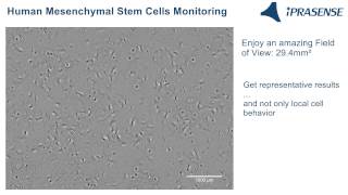 Human Mesenchymal Stem Cells Monitoring [upl. by Etteyniv606]