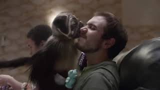 Mountain Dew׃ quotPuppy Monkey Babyquot  2016 Super Bowl Commercial [upl. by Nnor985]