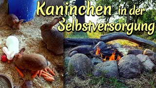 Kaninchen in der Selbstversorgung Felle Fleisch Haltung und Rezepte [upl. by Yllak]