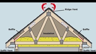 How Does Proper Attic Ventilation Protect my Roof [upl. by Aremahs]