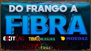 PROJETO DO FRANGO A FIBRA  LEVEL 100 TORNABRA  BONUS [upl. by Atnima]