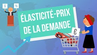 Lélasticitéprix de la demande [upl. by Zarihs742]