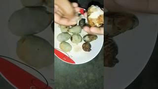 কচুর মুখির ভর্তাinstagramyoutube food shors youtubeshorts youtubevideos recipe 2024tags [upl. by Madelina126]