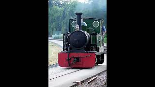 Bagnall 042T quotIsaacquot  Strawberry Park Halt SBR 9923 steam narrowgauge railway [upl. by Arber]