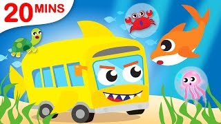 Baby Shark on the Shark Bus  Itsy Bitsy Did You See My Web  Puppy Chase by Little Angel [upl. by Lowrance]