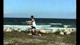 NEW AGE quotTAICHIquot MusicYangShi 24 form Taijiquan on the beach [upl. by Elleoj]