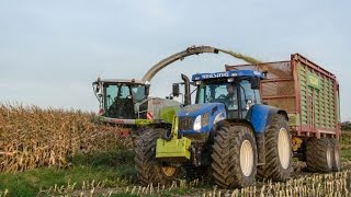 LU Reesing  Maishäckseln mit Claas Jaguar 950 amp Fendt Steyr  New Holland [upl. by Nomor]