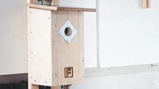 Building a Birdhouse  Things to Consider [upl. by Goff]