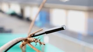 Affordable Borescope Endoscope Snake Camera for Android or PC Devices Review [upl. by Onileba]