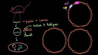 Parts of cloning vector ori rop cloning site markers  Biotechnology  Biology  Khan Academy [upl. by Chalmers]