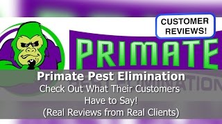 Best Pest Control Reviews  Primate Pest Elimination  Glendale CA  REVIEWS [upl. by Nosauq]