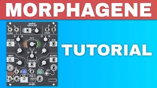 MAKE NOISE MORPHAGENE TUTORIAL  Eurorack sample module [upl. by Arimlede]